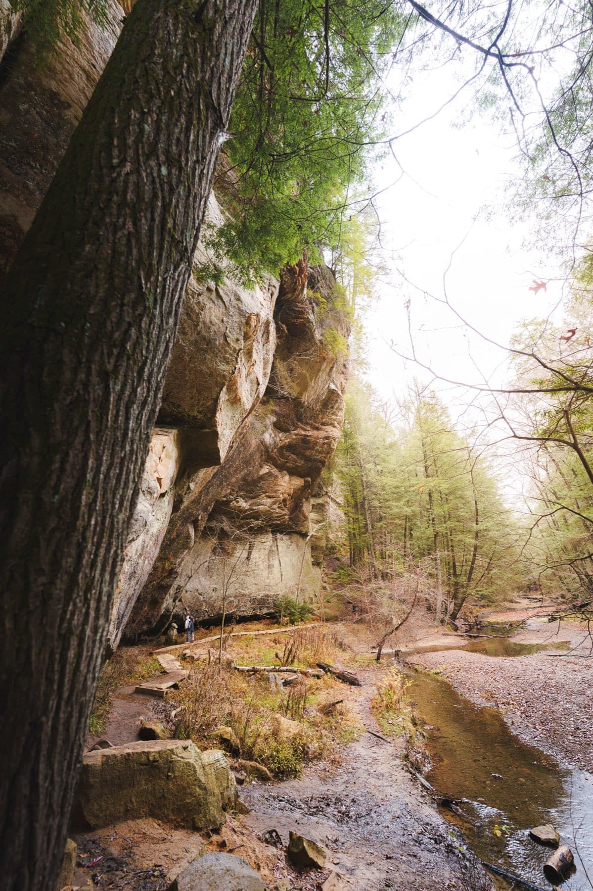 A hiking trail winding between sandstone cliffs in the Hocking Hills