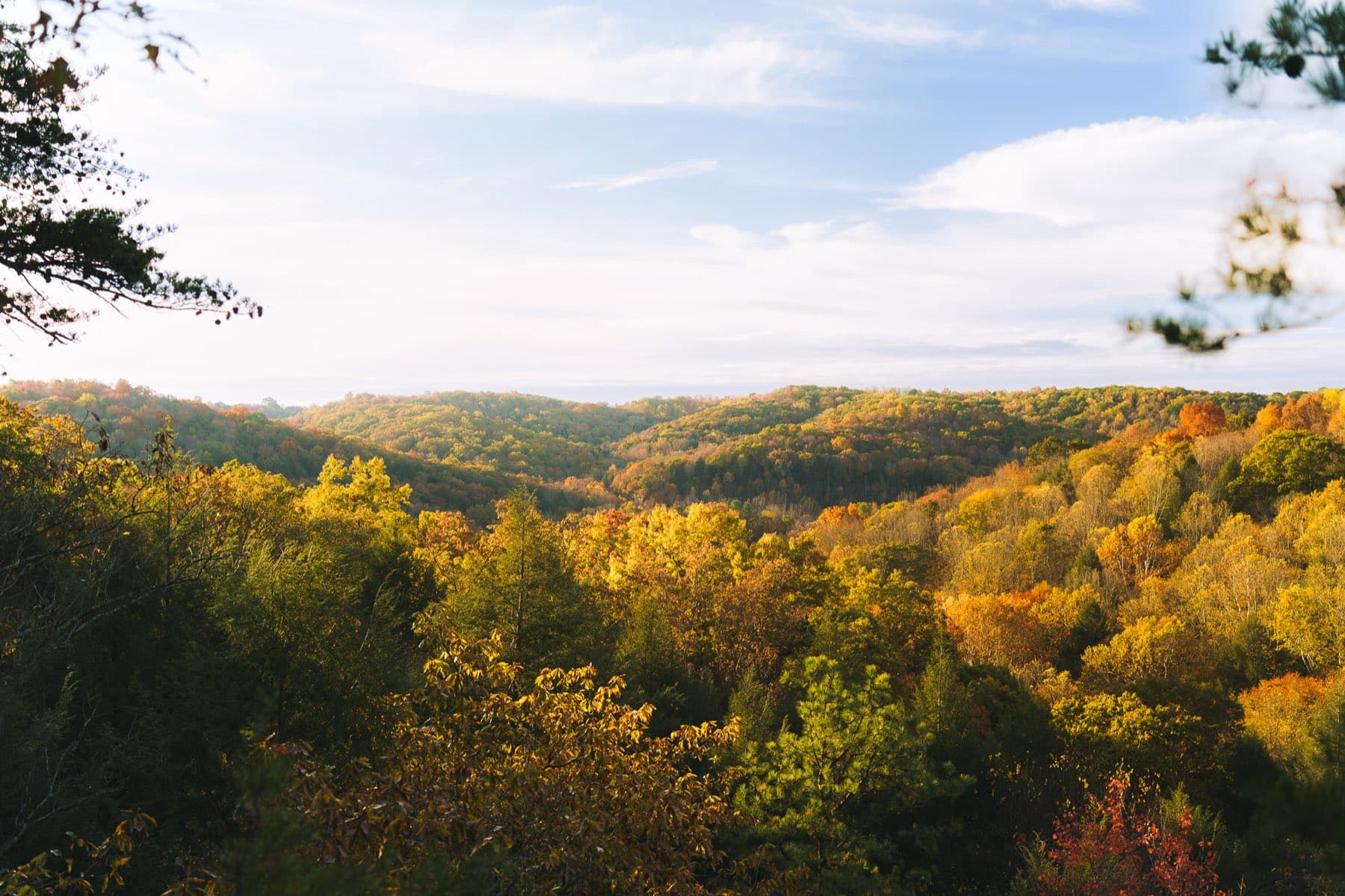 Rolling Hocking Hills forest in peak autumn color under a blue sky